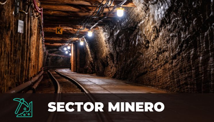 SAM - Geotecnia - Minería Minero